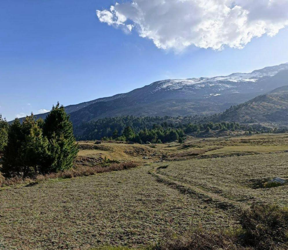 Fayul Retreat - India Highest Glamp And Ecoluxury Stay カルプ エクステリア 写真